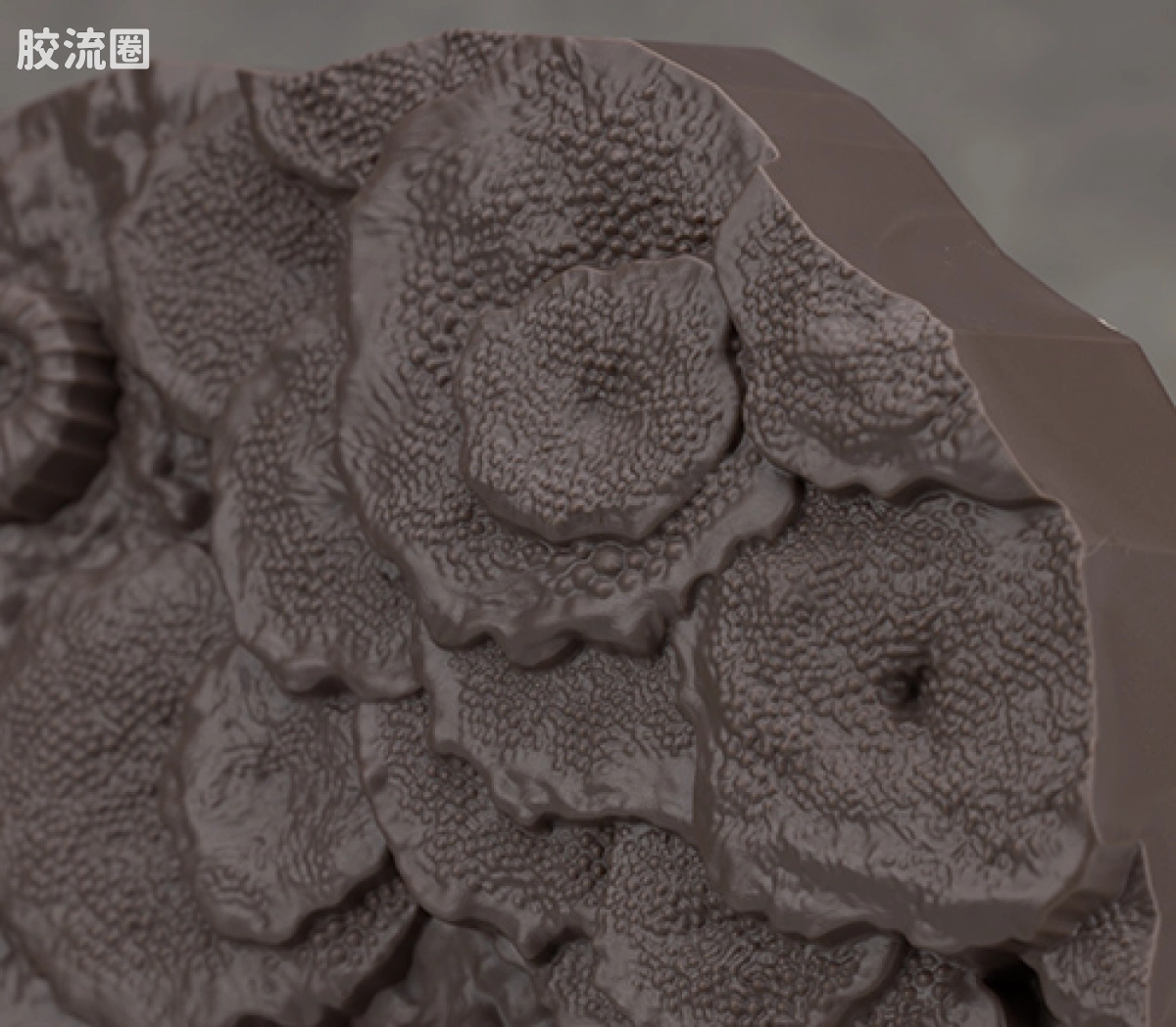 万代综合拼装模型系列 Imaginary Skeleton系列 沧龙 - 图片
